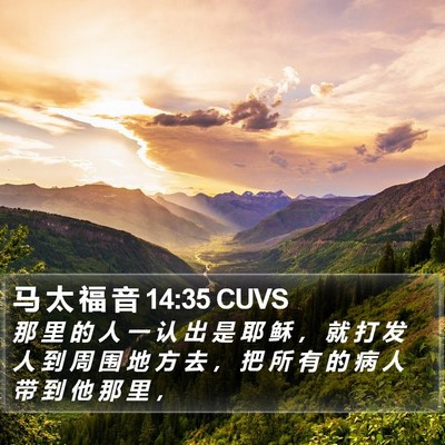 马 太 福 音 14:35 CUVS Bible Verse Image