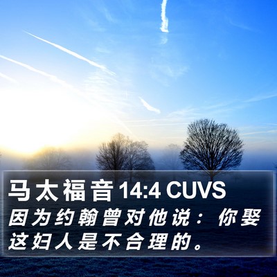 马 太 福 音 14:4 CUVS Bible Verse Image