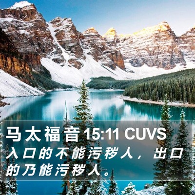 马 太 福 音 15:11 CUVS Bible Verse Image