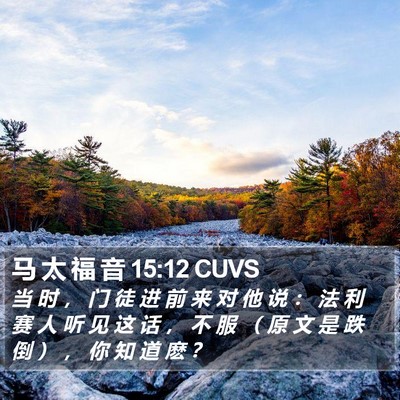 马 太 福 音 15:12 CUVS Bible Verse Image