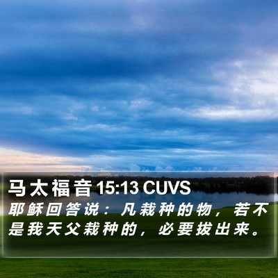 马 太 福 音 15:13 CUVS Bible Verse Image