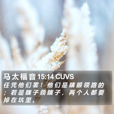 马 太 福 音 15:14 CUVS Bible Verse Image