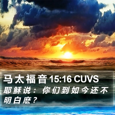 马 太 福 音 15:16 CUVS Bible Verse Image