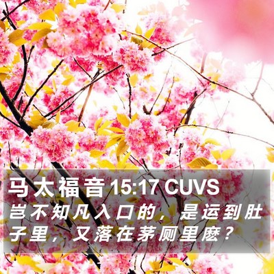 马 太 福 音 15:17 CUVS Bible Verse Image