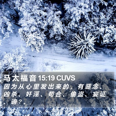 马 太 福 音 15:19 CUVS Bible Verse Image