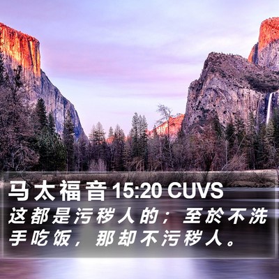 马 太 福 音 15:20 CUVS Bible Verse Image