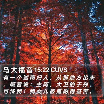 马 太 福 音 15:22 CUVS Bible Verse Image