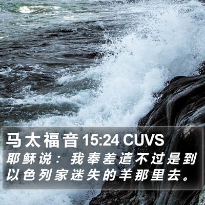 马 太 福 音 15:24 CUVS Bible Verse Image