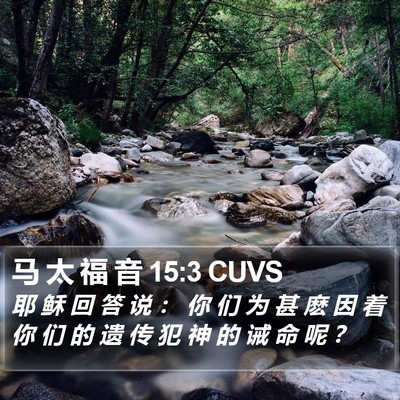 马 太 福 音 15:3 CUVS Bible Verse Image