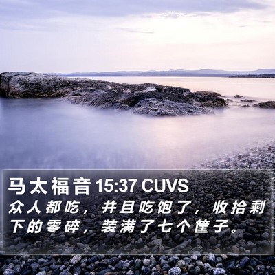 马 太 福 音 15:37 CUVS Bible Verse Image
