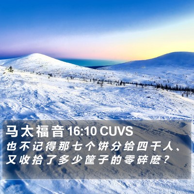 马 太 福 音 16:10 CUVS Bible Verse Image
