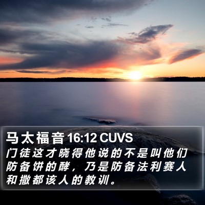 马 太 福 音 16:12 CUVS Bible Verse Image