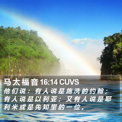 马 太 福 音 16:14 CUVS Bible Verse Image