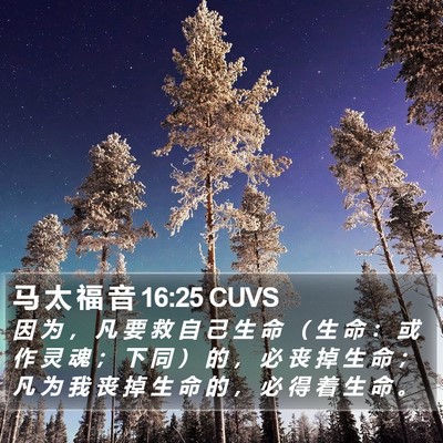 马 太 福 音 16:25 CUVS Bible Verse Image