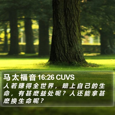 马 太 福 音 16:26 CUVS Bible Verse Image