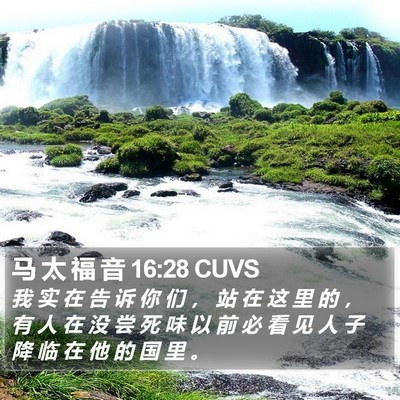 马 太 福 音 16:28 CUVS Bible Verse Image