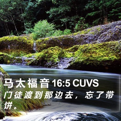马 太 福 音 16:5 CUVS Bible Verse Image