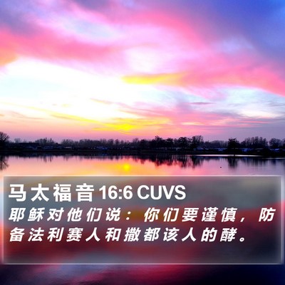 马 太 福 音 16:6 CUVS Bible Verse Image
