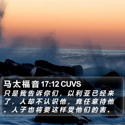 马 太 福 音 17:12 CUVS Bible Verse Image