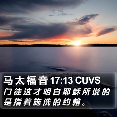 马 太 福 音 17:13 CUVS Bible Verse Image