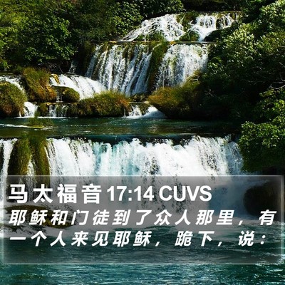马 太 福 音 17:14 CUVS Bible Verse Image