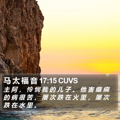 马 太 福 音 17:15 CUVS Bible Verse Image