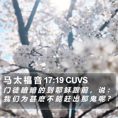 马 太 福 音 17:19 CUVS Bible Verse Image
