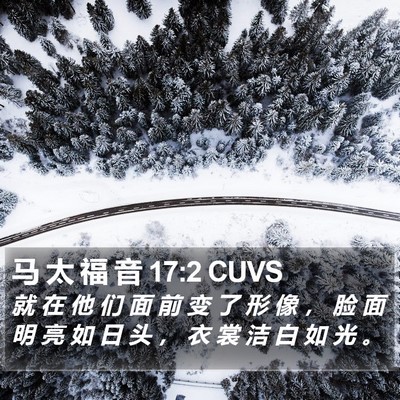 马 太 福 音 17:2 CUVS Bible Verse Image