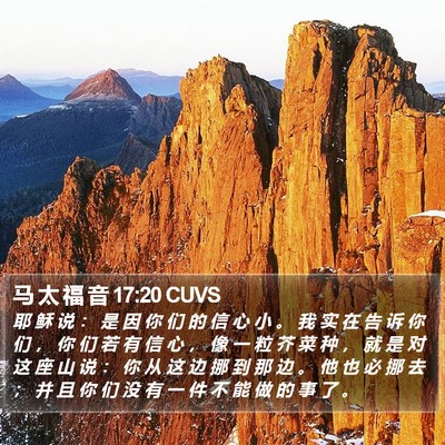 马 太 福 音 17:20 CUVS Bible Verse Image