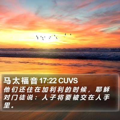 马 太 福 音 17:22 CUVS Bible Verse Image