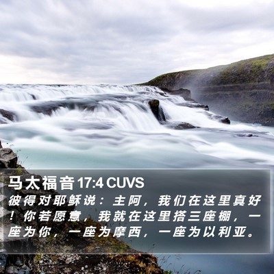 马 太 福 音 17:4 CUVS Bible Verse Image