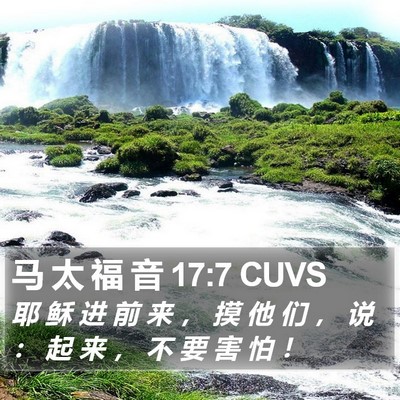 马 太 福 音 17:7 CUVS Bible Verse Image