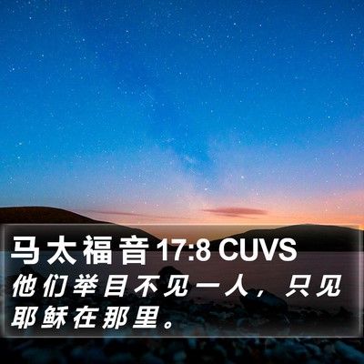 马 太 福 音 17:8 CUVS Bible Verse Image