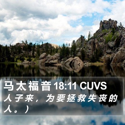 马 太 福 音 18:11 CUVS Bible Verse Image