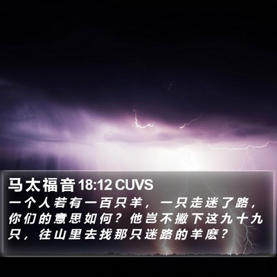 马 太 福 音 18:12 CUVS Bible Verse Image