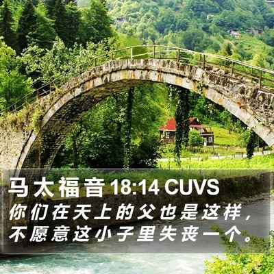 马 太 福 音 18:14 CUVS Bible Verse Image