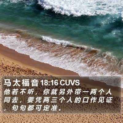 马 太 福 音 18:16 CUVS Bible Verse Image