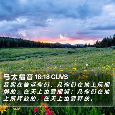 马 太 福 音 18:18 CUVS Bible Verse Image