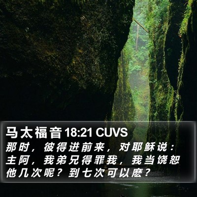 马 太 福 音 18:21 CUVS Bible Verse Image