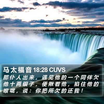 马 太 福 音 18:28 CUVS Bible Verse Image
