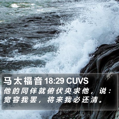 马 太 福 音 18:29 CUVS Bible Verse Image