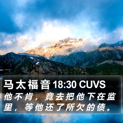 马 太 福 音 18:30 CUVS Bible Verse Image