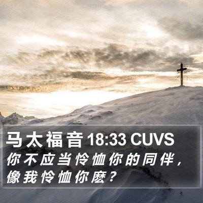 马 太 福 音 18:33 CUVS Bible Verse Image