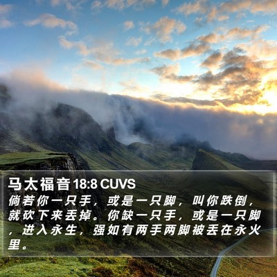 马 太 福 音 18:8 CUVS Bible Verse Image
