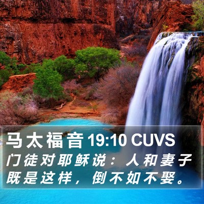 马 太 福 音 19:10 CUVS Bible Verse Image