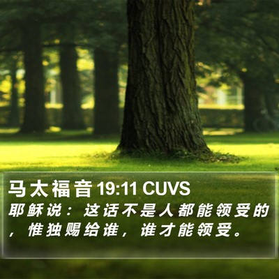 马 太 福 音 19:11 CUVS Bible Verse Image