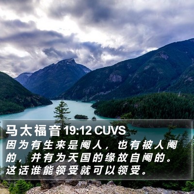 马 太 福 音 19:12 CUVS Bible Verse Image