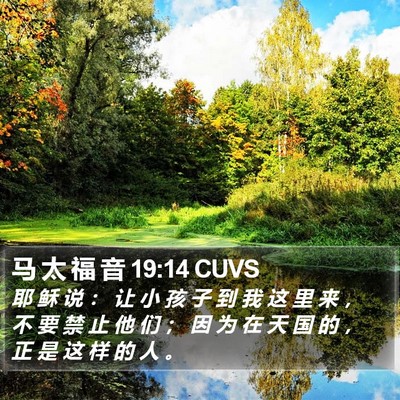 马 太 福 音 19:14 CUVS Bible Verse Image