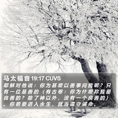 马 太 福 音 19:17 CUVS Bible Verse Image