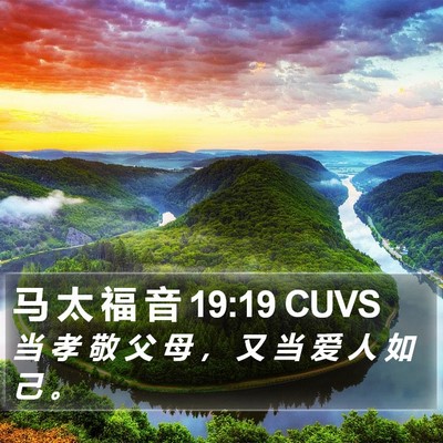 马 太 福 音 19:19 CUVS Bible Verse Image